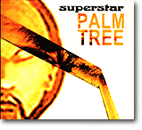 Palm Tree – Midt på palmetreet